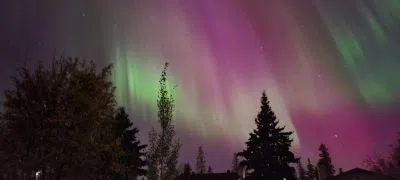 Solar eruption lights up skies across Saskatchewan with more auroras possible tonight