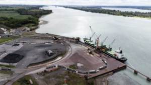 Port of Montreal expansion had inadequate consultation on endangered fish: Bloc MP