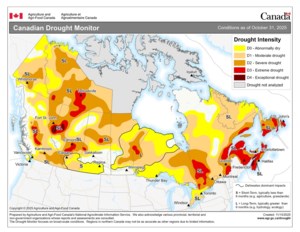 Select areas of the Prairies received more moisture than others