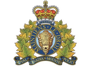 Shooting deaths of two cattle under investigation by RCMP