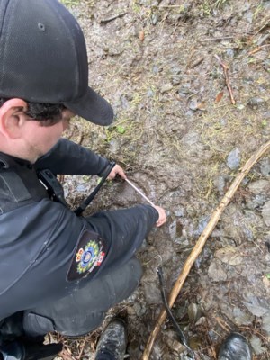 Search for grizzly behind 'extraordinary attack' on B.C. school group is called off