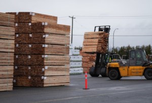 Police clear protesters from Vancouver Island logging blockade