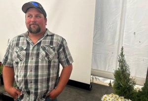 Three paths of regenerative agriculture