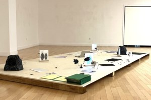 New Estevan exhibits blur boundaries between species, senses and self