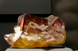 Geological open house brings industry leaders together