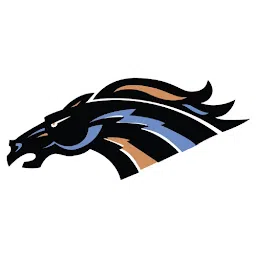 Swan Valley Stampeders point streak snapped at two after road loss to the Blizzard