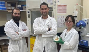 Nanotechnology used for genetic pest control