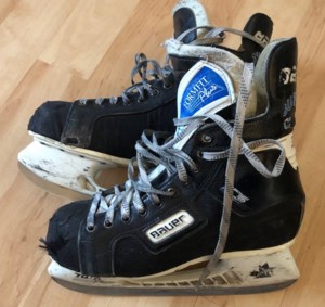 Terriers split pair in Kindersley