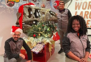 From snow globes to Scotty skulls