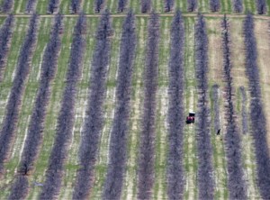 Report raises concerns about human rights of N.S. female migrant workers