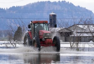 Flooding severs B.C.’s Lower Mainland from Interior, as cross-border flows rival 2021