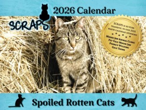 SCRAPS to soon unveil 2026 ‘Spoiled Rotten Cats’ calendar