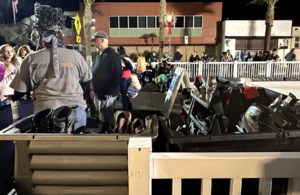 Mayfair and Area News: Schools hosting concerts to celebrate Christmas