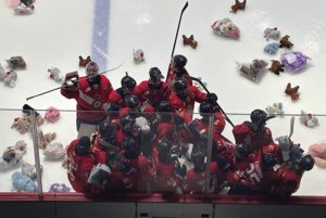The bears rain down at Teddy Bear Toss night in Regina