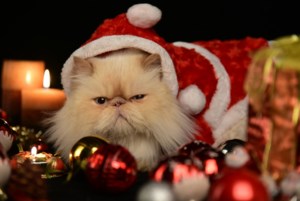 11 tips to avoid holiday burnout and actually enjoy the season