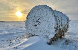 Prairie winter snowfall forecast 2025-26