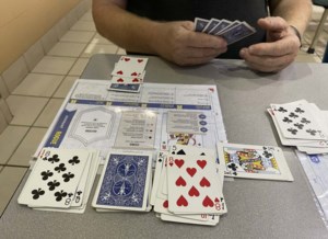 The Meeple Guild: Fine battler with standard deck of cards