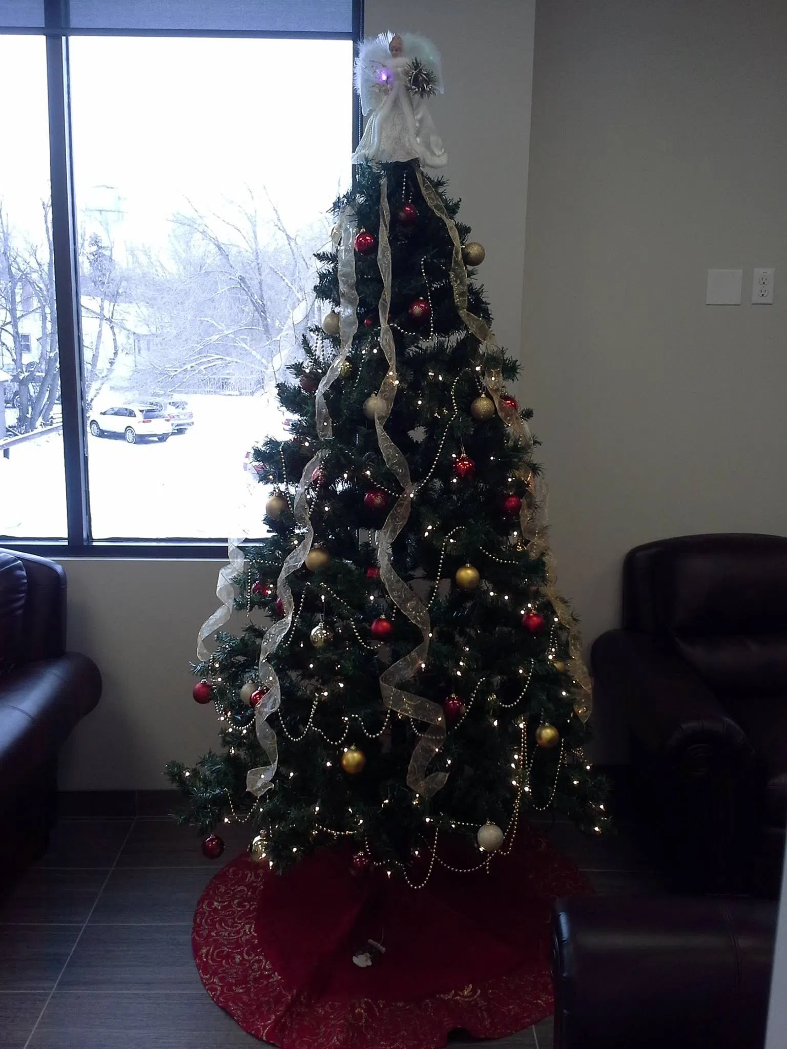 (Audio) Regina Scouts collecting Christmas Trees