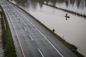 Woman killed by fallen tree branch amid rain, wind warnings in parts of B.C.