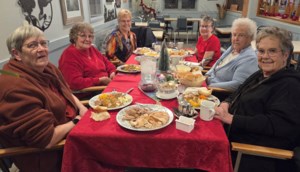 Maidstone and Area News: Small crowd but warm hearts at Winter Fun Fest