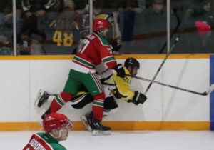 ‘All-around good game’ nets shutout for Cobras