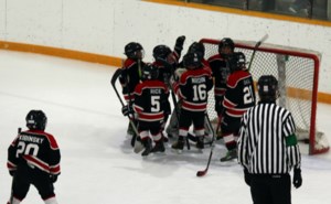 U9 Cobras win B event at Canora tournament