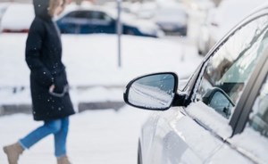 Gardener's Notebook: Winter Solstice Dec. 21