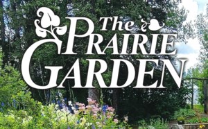 Garden Chat: The Prairie Garden, just in time for Christmas