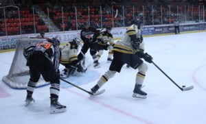 Yorkton Terriers win on way to seasonal break
