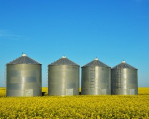 SaskOilseeds observing canola tariffs closely into 2026