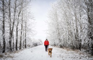 Western and Northern Canada braces for chilly, snowy Christmas