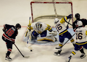 VIDEO: Saskatoon Blades blank Regina Pats to sweep home-and-home series