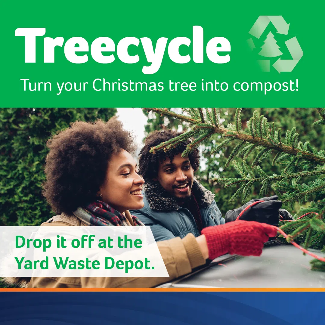 Treecycle program returns