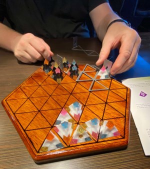 The Meeple Guild -- The top two-player games of 2025