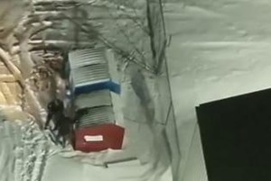 Corman Park police find intoxicated man in a dumpster during extreme cold