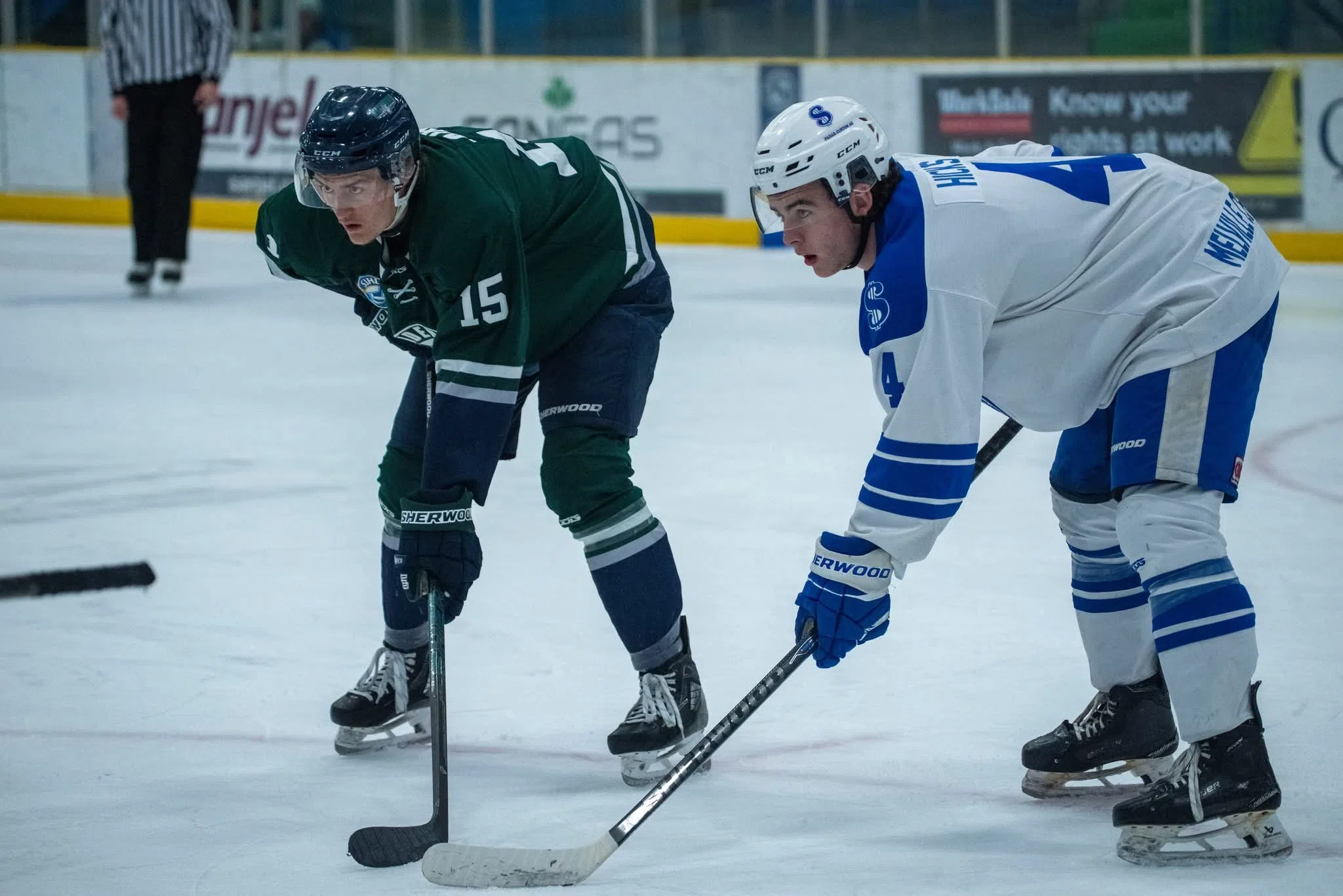 Melville Millionaires fall, Yorkton Terriers win big on Friday night