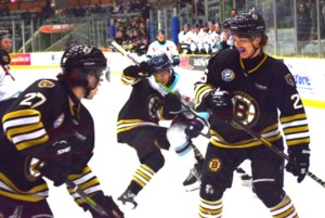 Estevan Bruins add two, deal one before the trade deadline