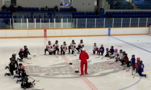 ‘It's not sustainable with our current registration numbers': Prairie Storm Minor Hockey VP Chad MacPherson urges for more rinks