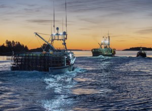 Nova Scotia lobster industry surprised, elated by suspension of Chinese tariff