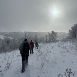 Residents invited to showcase winter trails in provincial photo contest