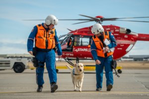 STARS therapy dog Orion is all ears and helps make days less ruff