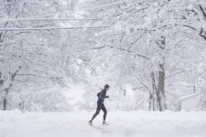 Winter storm causes outages in Nova Scotia and cancellations across the Maritimes