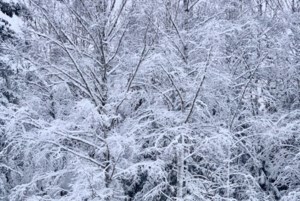 Extreme cold warning issued for Sask; wind chills to be -40 to -45 C