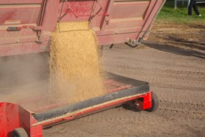 Hursh: Manitoba Crop Insurance prices higher than expected