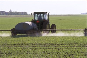 AAFC predicts seeded acreage for 2026 season