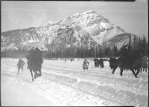 Skijoring: a sport you've likely never heard of pushed a resort town to its limit