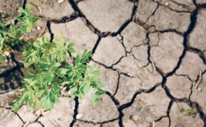 Machine learning and AI the future of drought monitoring in Canada