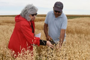 Scott and Indian Head research sites to close, Agriculture and Agri-Food Canada confirms