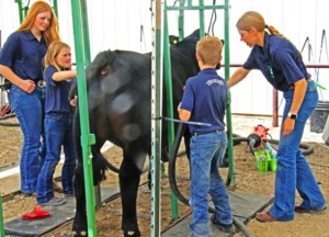 FCC 4-H Club Fund supports Saskatchewan clubs