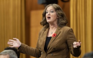 Liberal MP proposes sweeping changes to Divorce Act